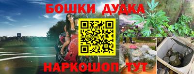 2c-b Новозыбков