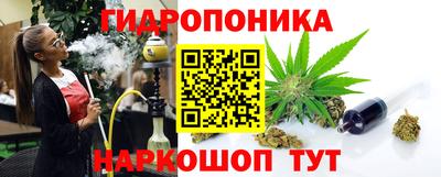 2c-b Новозыбков