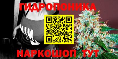 2c-b Новозыбков