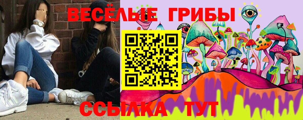 Галлюциногенные грибы мицелий Сатка