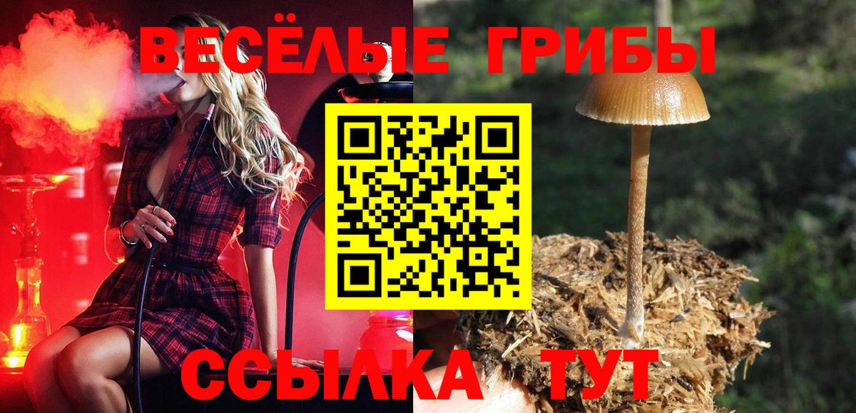 Сатка  Псилоцибиновые грибы GOLDEN TEACHER  наркотики  Вход с VPN 